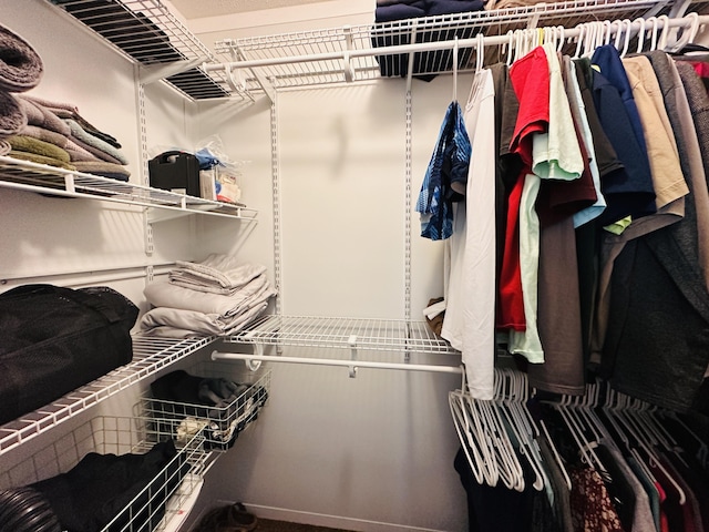 view of walk in closet