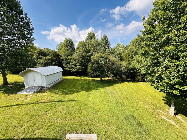 view of yard with a storage shed