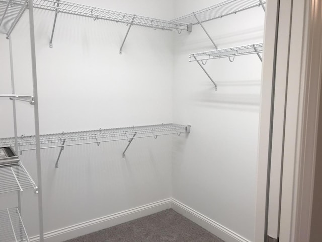 spacious closet with carpet flooring