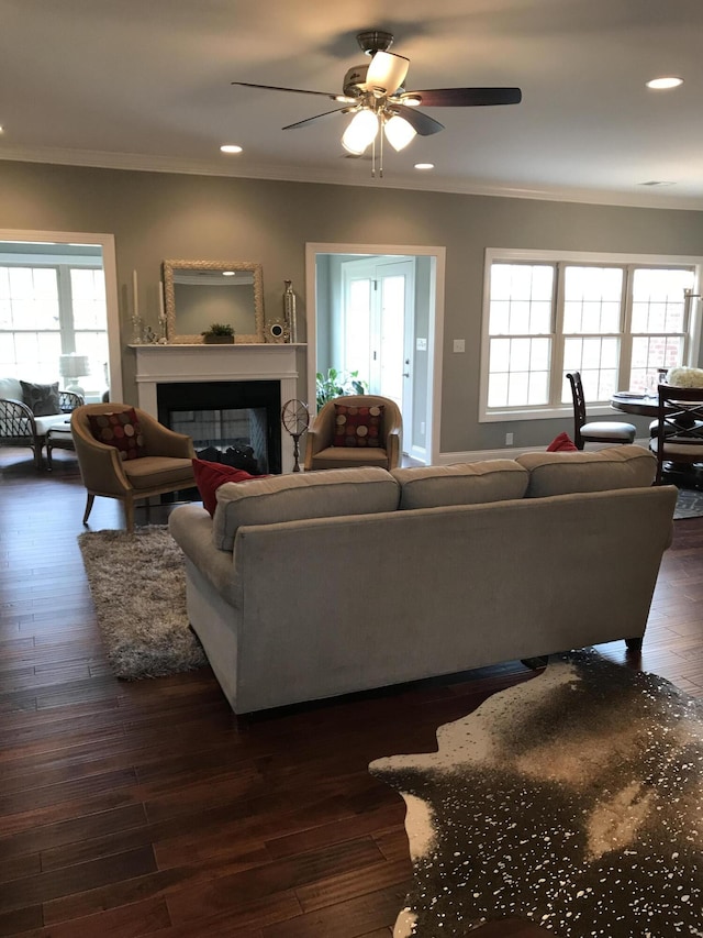 living room with dark hardwood / wood-style flooring and crown molding