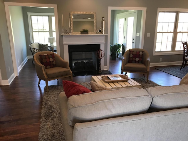 living room featuring dark hardwood / wood-style floors