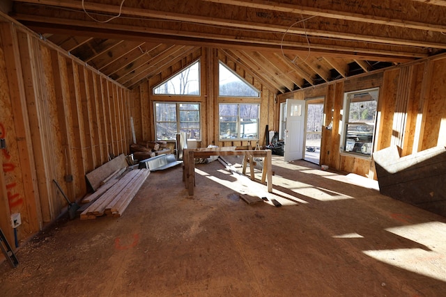 misc room with lofted ceiling