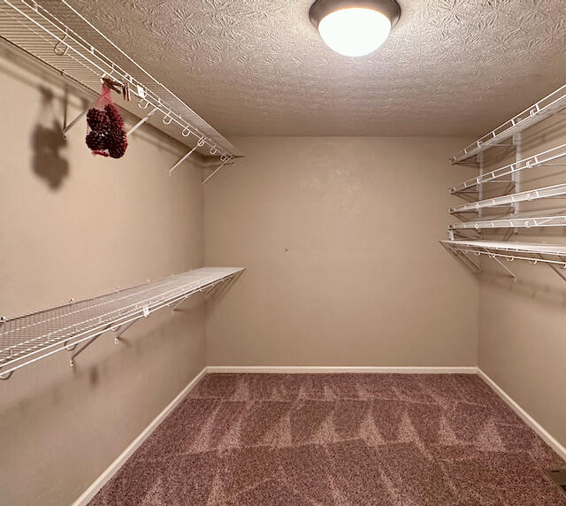 walk in closet featuring carpet floors