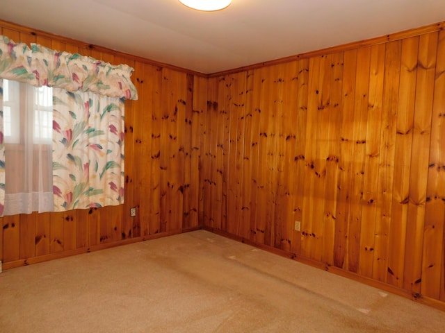 empty room with carpet floors, wood walls, and baseboards