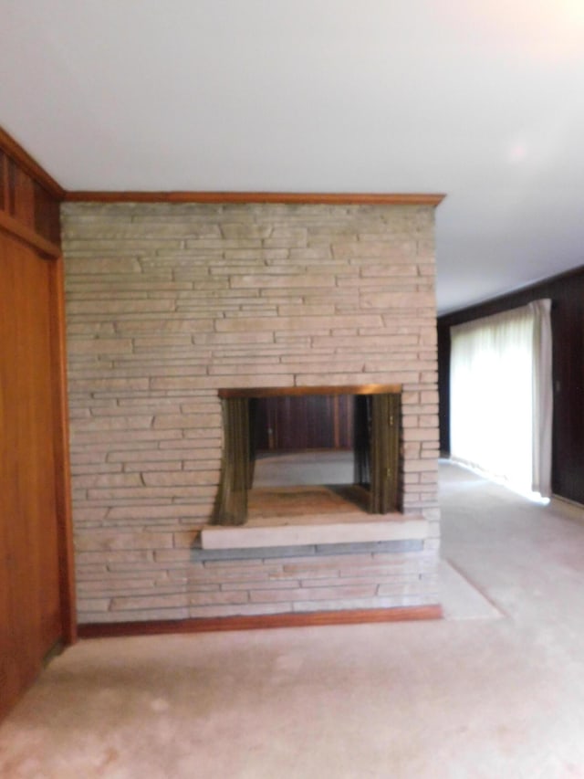 interior details featuring wood walls, carpet flooring, and a multi sided fireplace