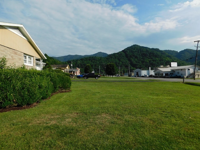 view of yard featuring a mountain view