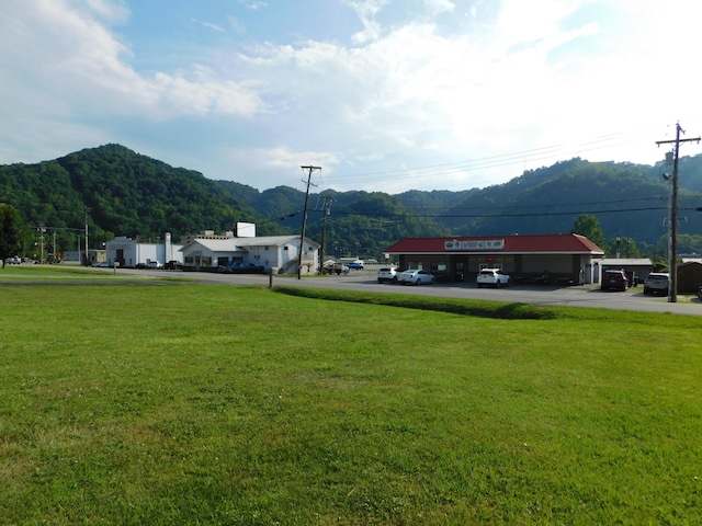 view of home's community with a mountain view and a yard