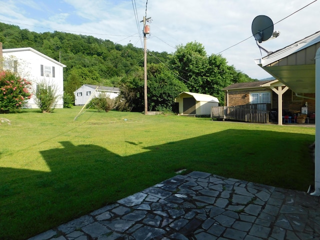 view of yard with a patio area, an outdoor structure, and a storage shed