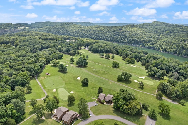 37-2 Woodson Bend Resort, Bronston, KY 42518 - drone / aerial view with a forest view, view of golf course, and a water and mountain view