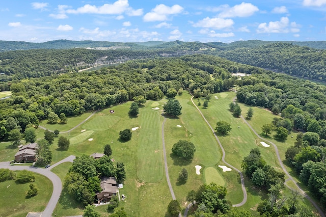 drone / aerial view with a mountain view