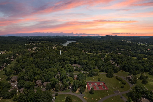 view of aerial view at dusk