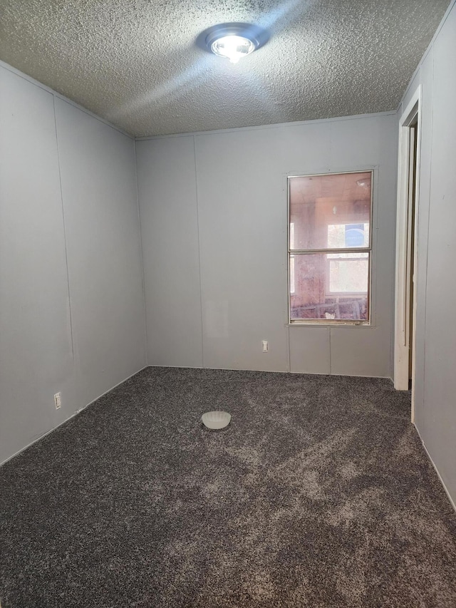 unfurnished room with carpet flooring and a textured ceiling