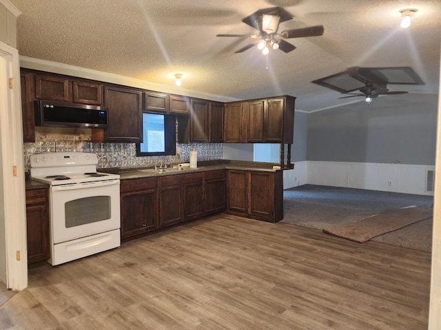 kitchen featuring white electric range, ornamental molding, a textured ceiling, dark brown cabinets, and light hardwood / wood-style floors