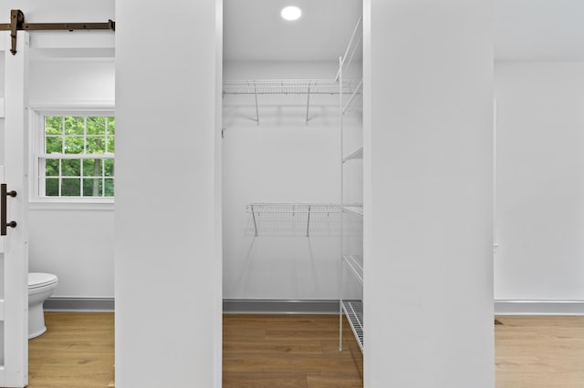 spacious closet featuring a barn door and wood-type flooring