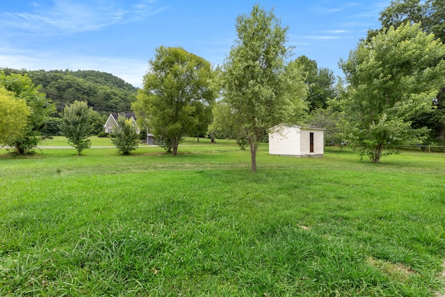 view of yard featuring a shed