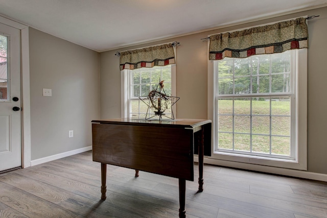 miscellaneous room with light hardwood / wood-style floors