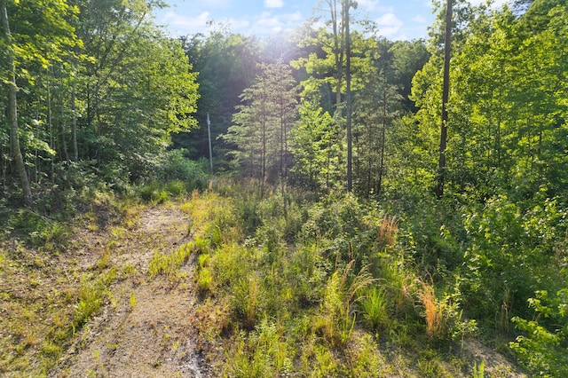 165 Chaneyville Rd, Stanton, KY 40380