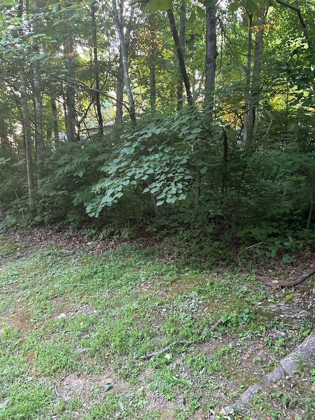 LOT Shoreline Dr, Somerset KY, 42503 land for sale