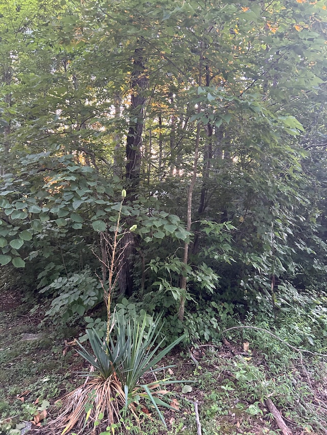 Listing photo 2 for LOT Shoreline Dr, Somerset KY 42503