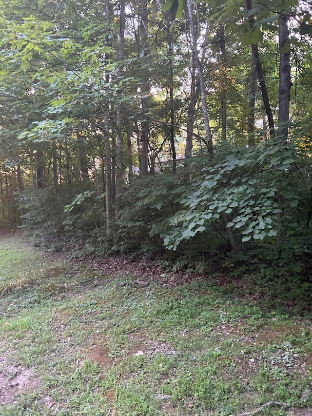 Listing photo 3 for LOT Shoreline Dr, Somerset KY 42503