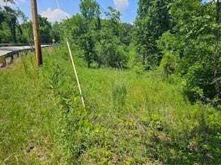 0 Leatherwood, Salt Lick KY, 40371 land for sale