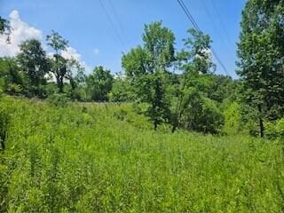 Listing photo 2 for 0 Leatherwood, Salt Lick KY 40371