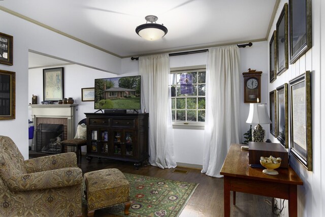 living room featuring a fireplace, crown molding, and wood-type flooring