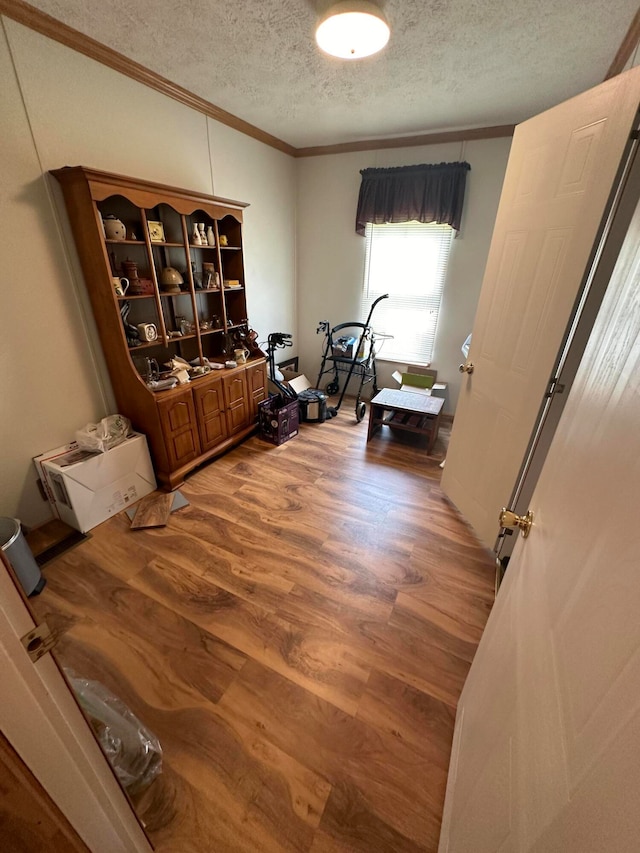 office space featuring crown molding, a textured ceiling, and wood-type flooring