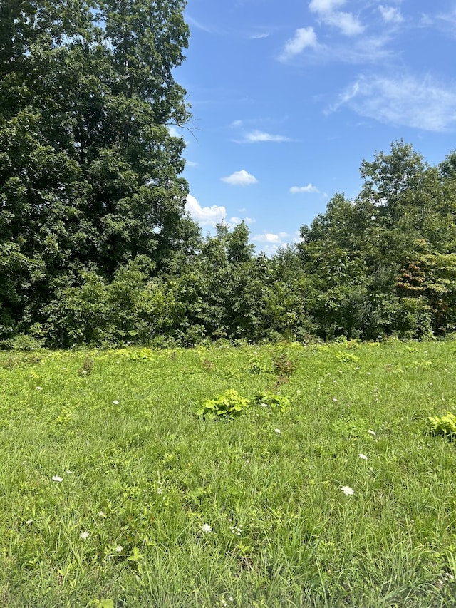 Lot Serenity, Nancy KY, 42544 land for sale