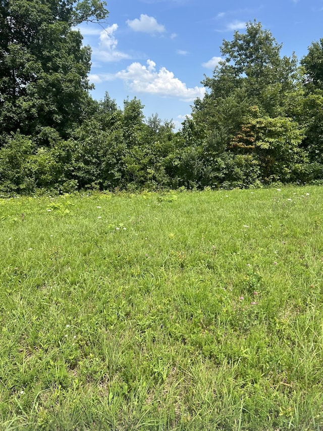 Listing photo 3 for Lot Serenity, Nancy KY 42544