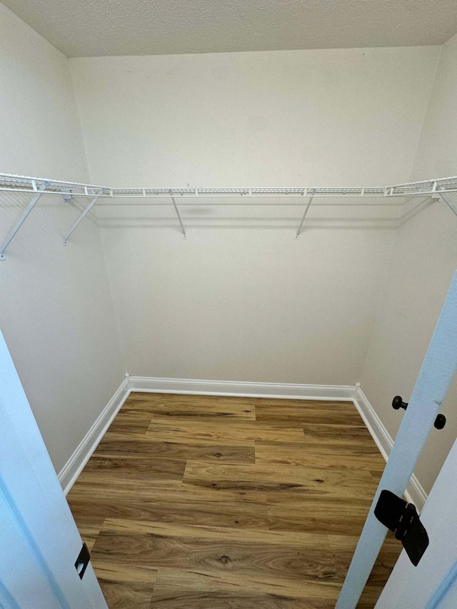 walk in closet featuring hardwood / wood-style floors