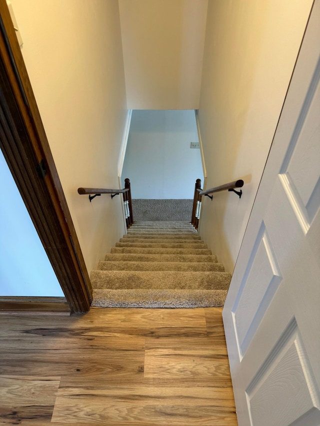 staircase featuring wood-type flooring