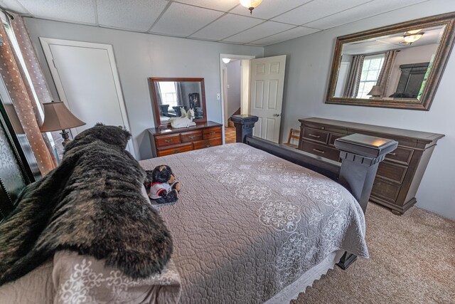 bedroom with a drop ceiling and carpet floors