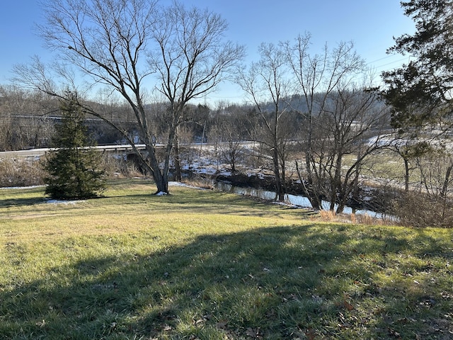 view of yard featuring a water view