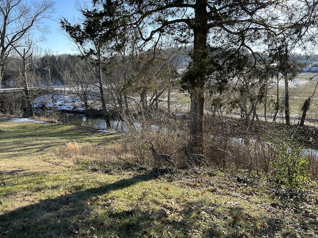 view of yard featuring a water view