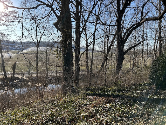 view of landscape