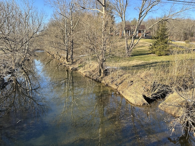 view of water feature