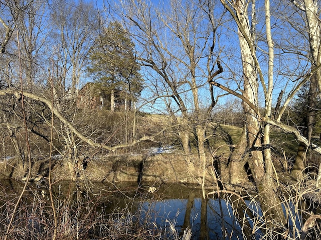 view of landscape