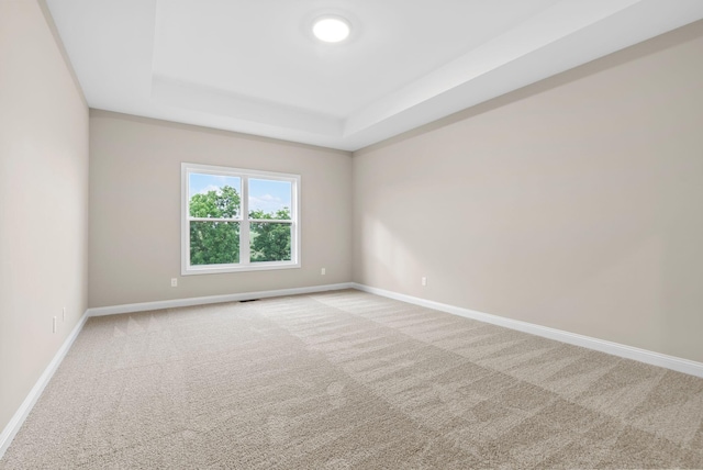 empty room featuring carpet and a tray ceiling