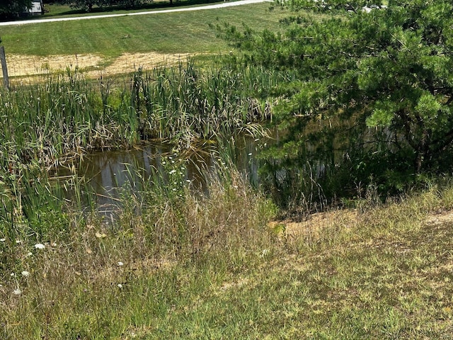 view of local wilderness with a water view