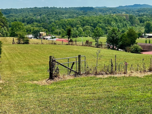 view of yard featuring a rural view