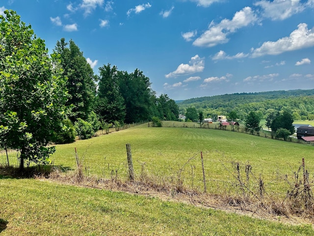 view of yard featuring a rural view