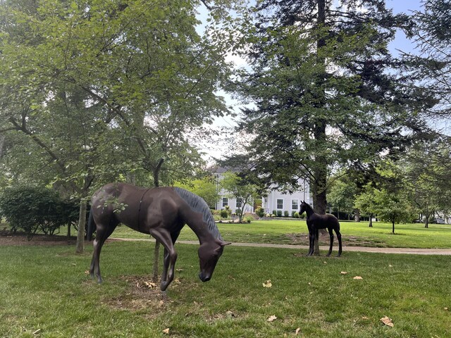 view of community featuring a lawn