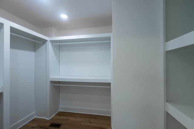 spacious closet with wood-type flooring