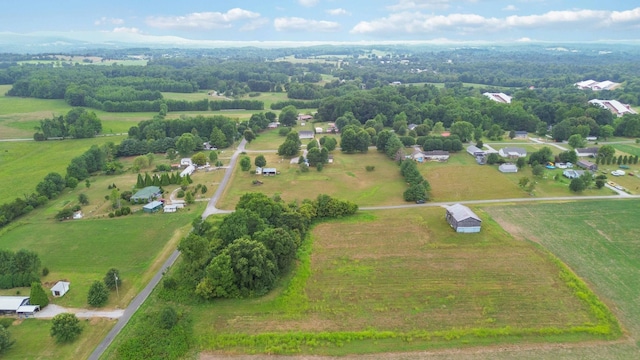 drone / aerial view