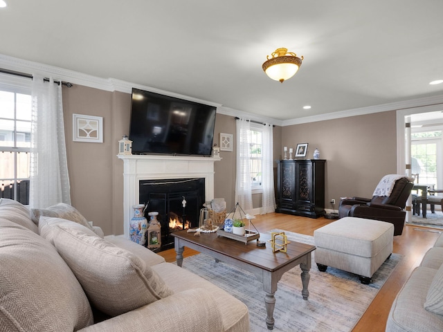 living room featuring ornamental molding and light hardwood / wood-style flooring