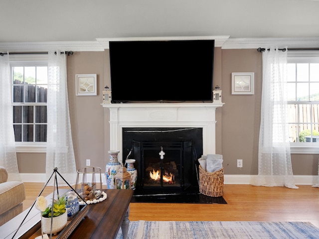 living room with ornamental molding, wood-type flooring, and plenty of natural light