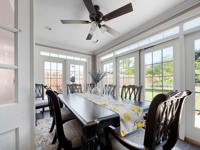 dining area with ornamental molding, ceiling fan, and plenty of natural light