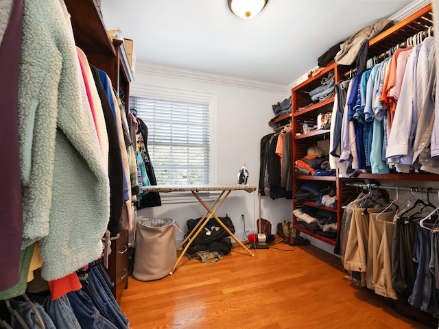 walk in closet featuring hardwood / wood-style flooring