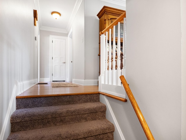 staircase featuring crown molding